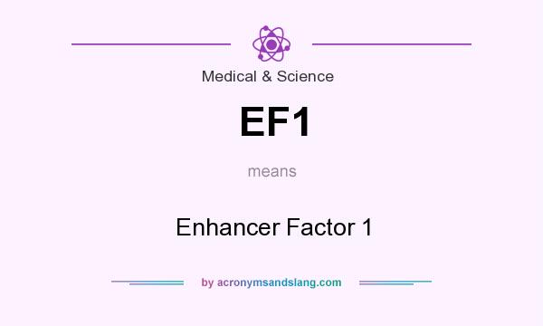 What does EF1 mean? It stands for Enhancer Factor 1