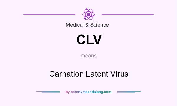 What does CLV mean? It stands for Carnation Latent Virus
