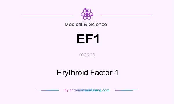 What does EF1 mean? It stands for Erythroid Factor-1