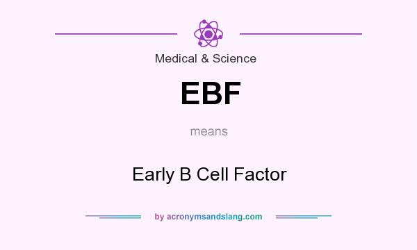 What does EBF mean? It stands for Early B Cell Factor