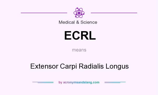 What does ECRL mean? It stands for Extensor Carpi Radialis Longus