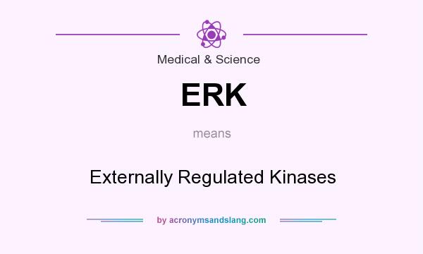 What does ERK mean? It stands for Externally Regulated Kinases