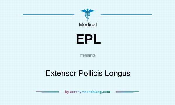 What does EPL mean? It stands for Extensor Pollicis Longus