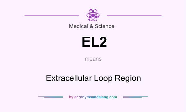 What does EL2 mean? It stands for Extracellular Loop Region