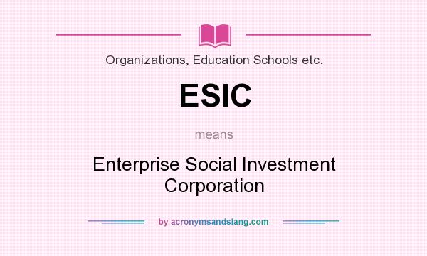 What does ESIC mean? It stands for Enterprise Social Investment Corporation