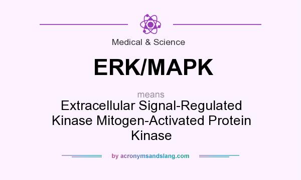What does ERK/MAPK mean? It stands for Extracellular Signal-Regulated Kinase Mitogen-Activated Protein Kinase