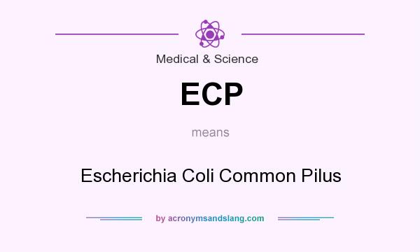 What does ECP mean? It stands for Escherichia Coli Common Pilus