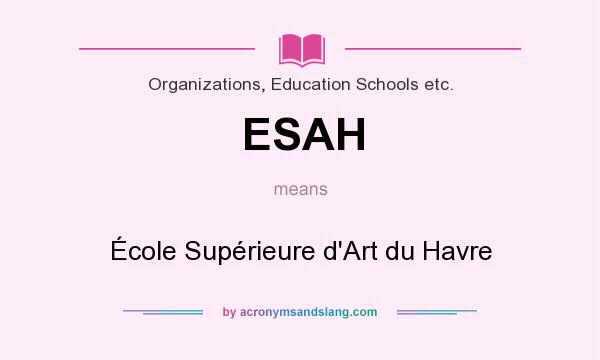 What does ESAH mean? It stands for École Supérieure d`Art du Havre