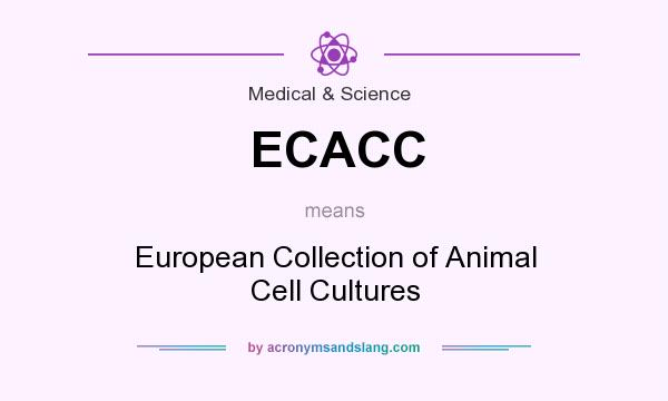 What does ECACC mean? It stands for European Collection of Animal Cell Cultures