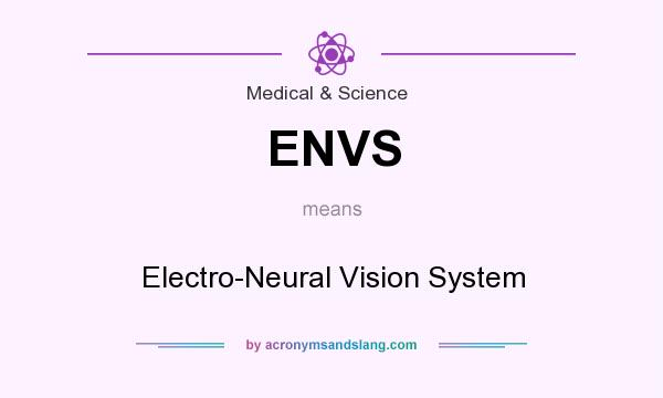 What does ENVS mean? It stands for Electro-Neural Vision System