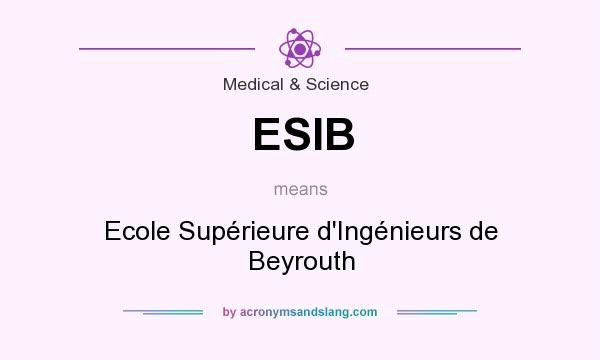 What does ESIB mean? It stands for Ecole Supérieure d`Ingénieurs de Beyrouth