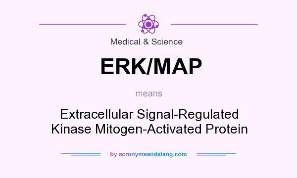 What does ERK/MAP mean? It stands for Extracellular Signal-Regulated Kinase Mitogen-Activated Protein