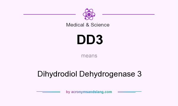 What does DD3 mean? It stands for Dihydrodiol Dehydrogenase 3