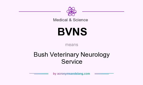 What does BVNS mean? It stands for Bush Veterinary Neurology Service