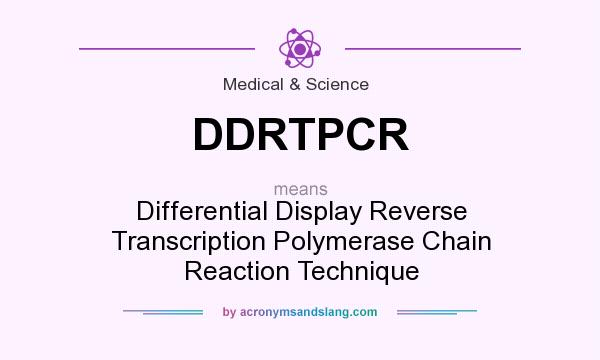 What does DDRTPCR mean? It stands for Differential Display Reverse Transcription Polymerase Chain Reaction Technique
