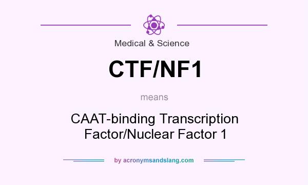What does CTF/NF1 mean? It stands for CAAT-binding Transcription Factor/Nuclear Factor 1