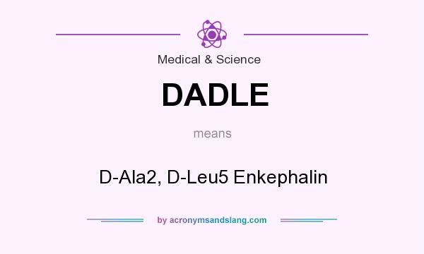What does DADLE mean? It stands for D-Ala2, D-Leu5 Enkephalin