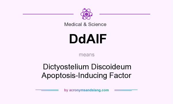 What does DdAIF mean? It stands for Dictyostelium Discoideum Apoptosis-Inducing Factor