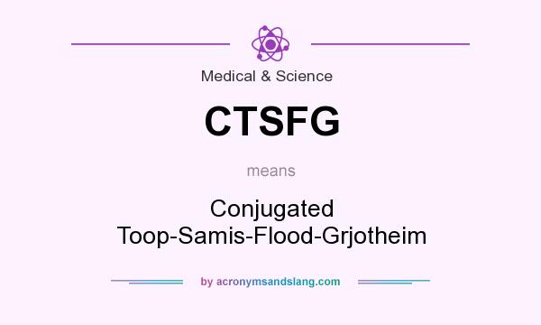 What does CTSFG mean? It stands for Conjugated Toop-Samis-Flood-Grjotheim