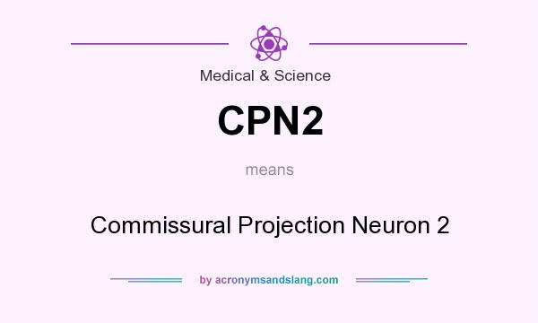 What does CPN2 mean? It stands for Commissural Projection Neuron 2
