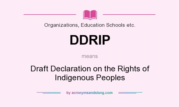 What does DDRIP mean? It stands for Draft Declaration on the Rights of Indigenous Peoples