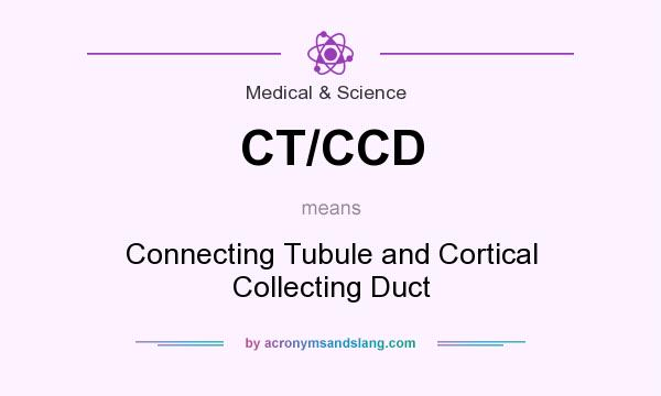 What does CT/CCD mean? It stands for Connecting Tubule and Cortical Collecting Duct