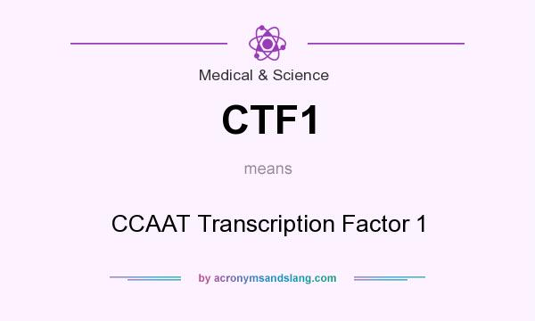 What does CTF1 mean? It stands for CCAAT Transcription Factor 1