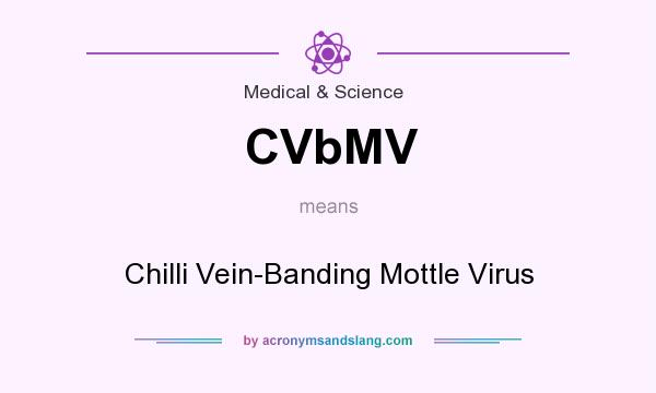 What does CVbMV mean? It stands for Chilli Vein-Banding Mottle Virus