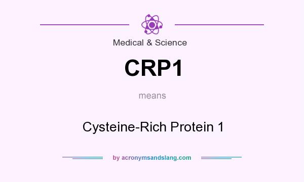 What does CRP1 mean? It stands for Cysteine-Rich Protein 1