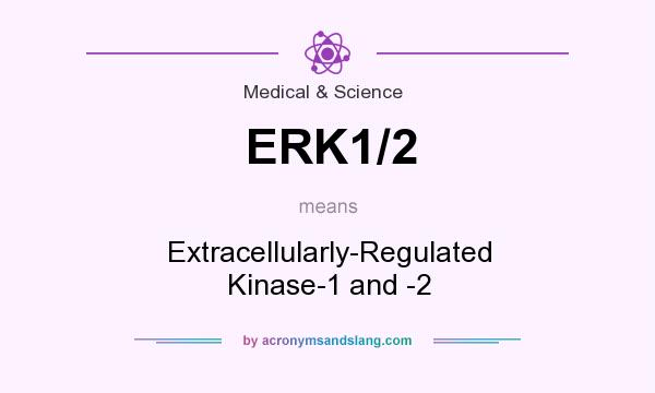What does ERK1/2 mean? It stands for Extracellularly-Regulated Kinase-1 and -2