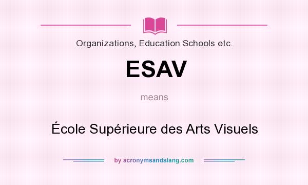 What does ESAV mean? It stands for École Supérieure des Arts Visuels