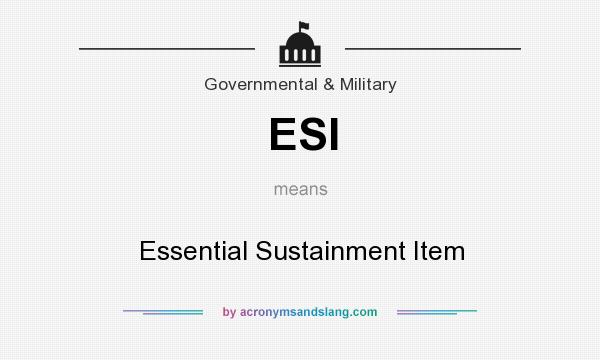 What does ESI mean? It stands for Essential Sustainment Item