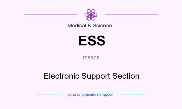 What does ESS mean? It stands for Electronic Support Section