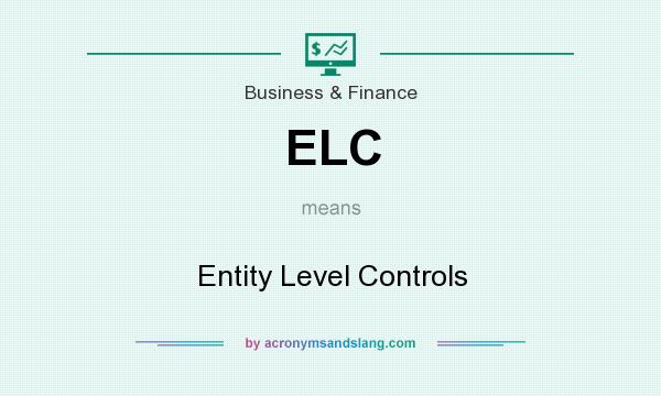 What does ELC mean? It stands for Entity Level Controls