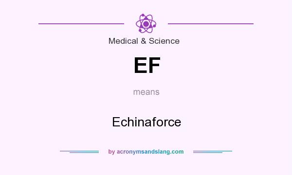 What does EF mean? It stands for Echinaforce