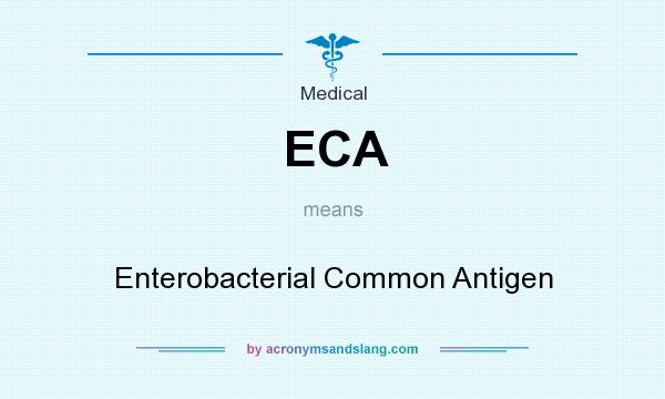 What does ECA mean? It stands for Enterobacterial Common Antigen