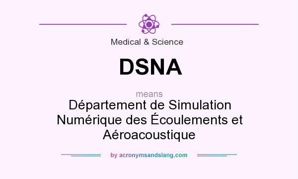 What does DSNA mean? It stands for Département de Simulation Numérique des Écoulements et Aéroacoustique