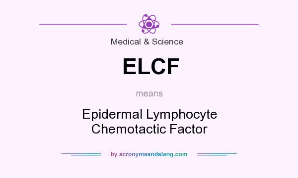 What does ELCF mean? It stands for Epidermal Lymphocyte Chemotactic Factor