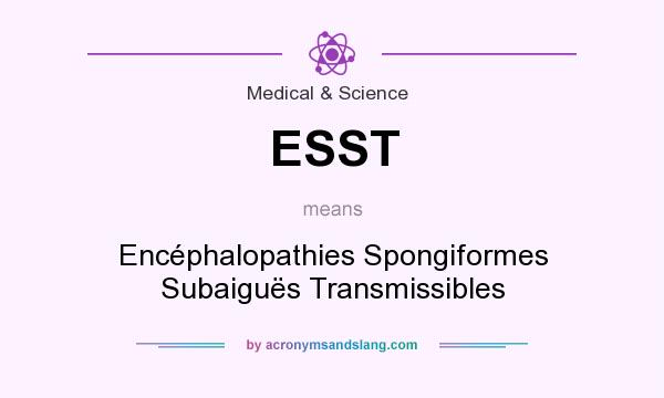 What does ESST mean? It stands for Encéphalopathies Spongiformes Subaiguës Transmissibles