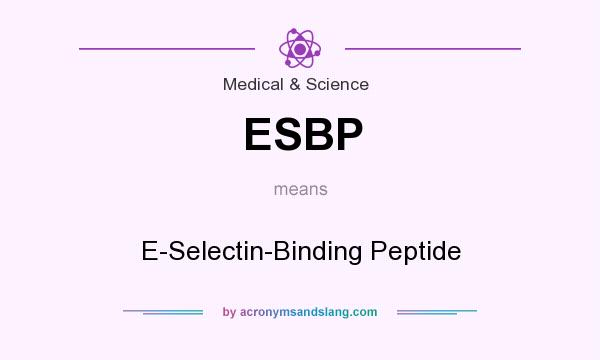 What does ESBP mean? It stands for E-Selectin-Binding Peptide