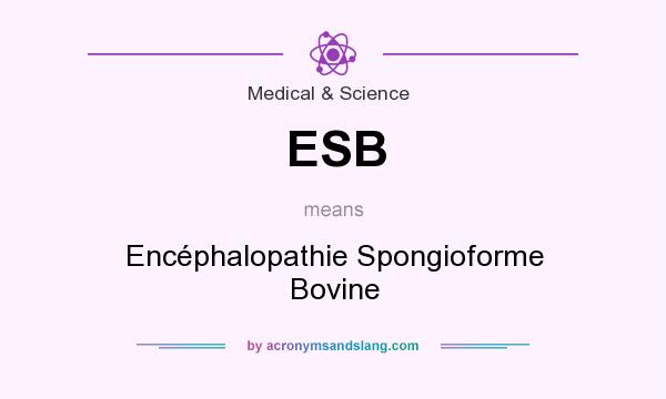 What does ESB mean? It stands for Encéphalopathie Spongioforme Bovine