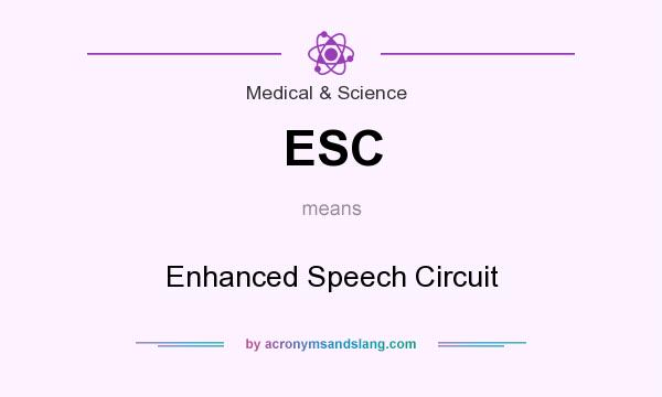 What does ESC mean? It stands for Enhanced Speech Circuit
