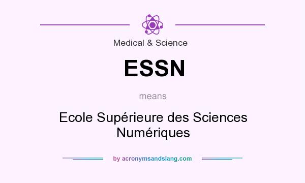 What does ESSN mean? It stands for Ecole Supérieure des Sciences Numériques