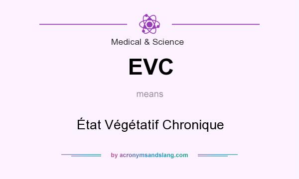 What does EVC mean? It stands for État Végétatif Chronique