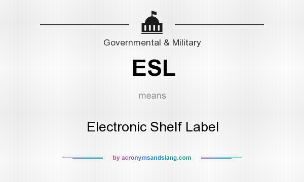 What does ESL mean? It stands for Electronic Shelf Label
