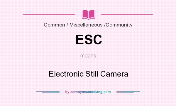 What does ESC mean? It stands for Electronic Still Camera