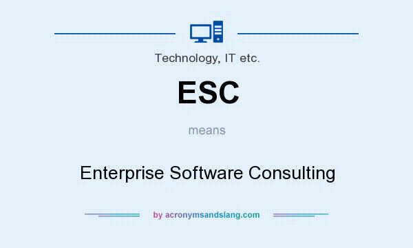 What does ESC mean? It stands for Enterprise Software Consulting