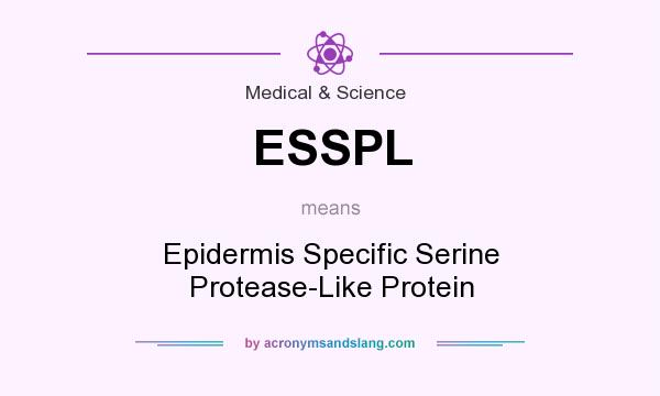 What does ESSPL mean? It stands for Epidermis Specific Serine Protease-Like Protein