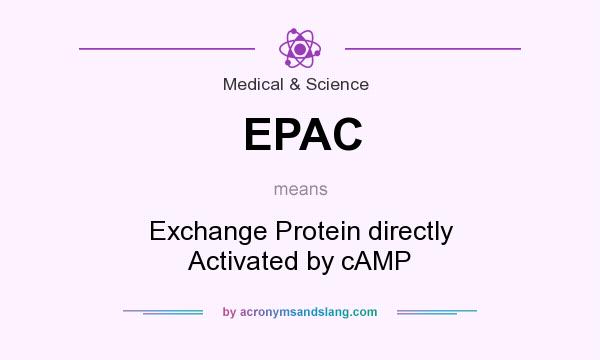 What does EPAC mean? It stands for Exchange Protein directly Activated by cAMP