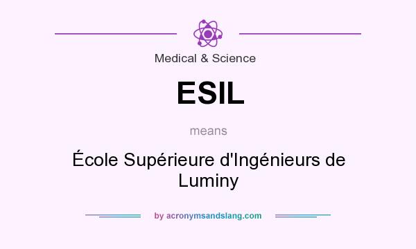 What does ESIL mean? It stands for École Supérieure d`Ingénieurs de Luminy
